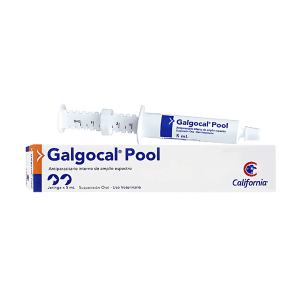 GALGOCAL POOL